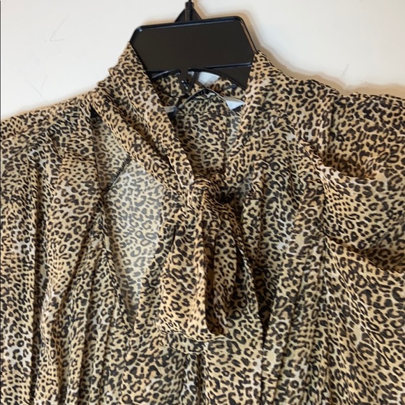 Zara leopard sheer blouse. Xs - Picture 6 of 9